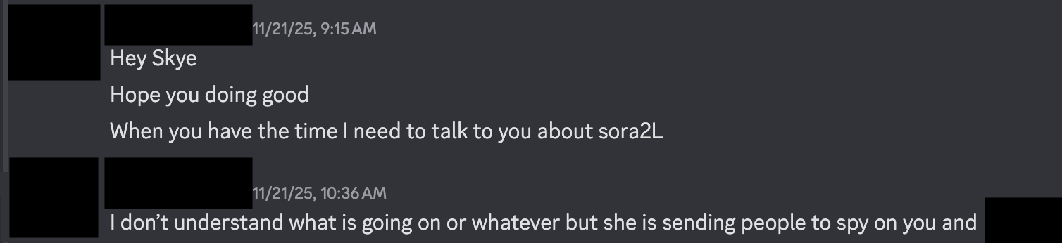 DM messages warning that Sora2L is sending people to spy on critics